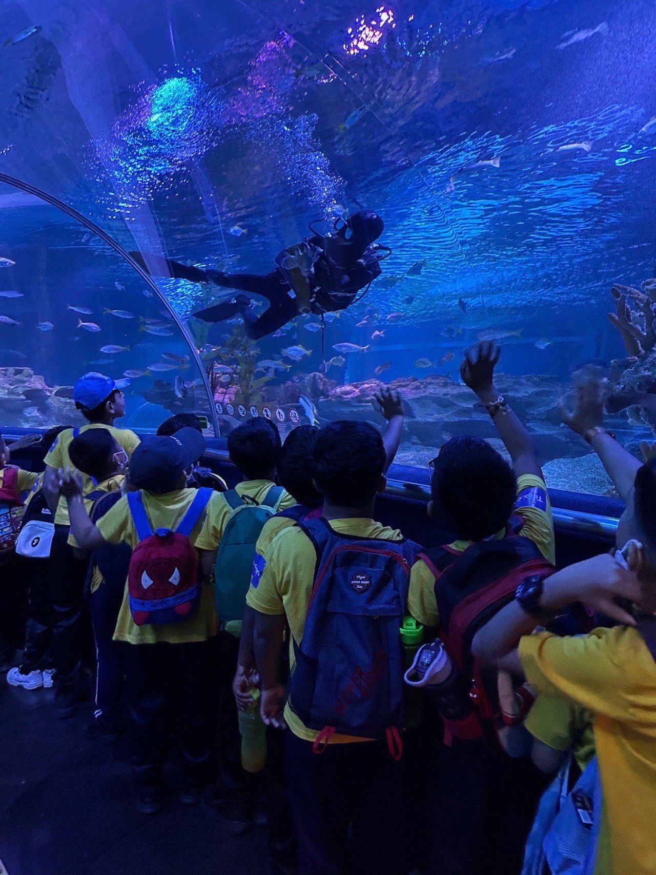 Empowerment Through Education A Splash of Fun and Learning at Aquaria